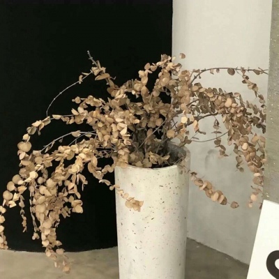 兽设原创构思技巧兽圈社群